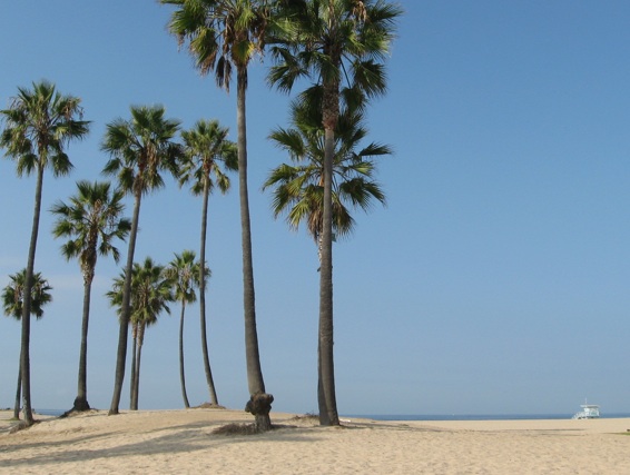 7 Meilleur Plages Urbaines du Monde