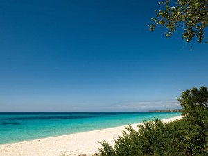 Plage Eagle Bay Beach