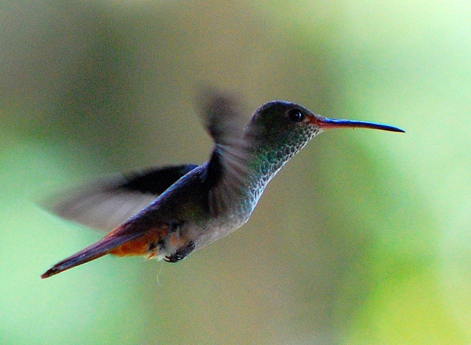 costa-rica-matador-seo23-940x689