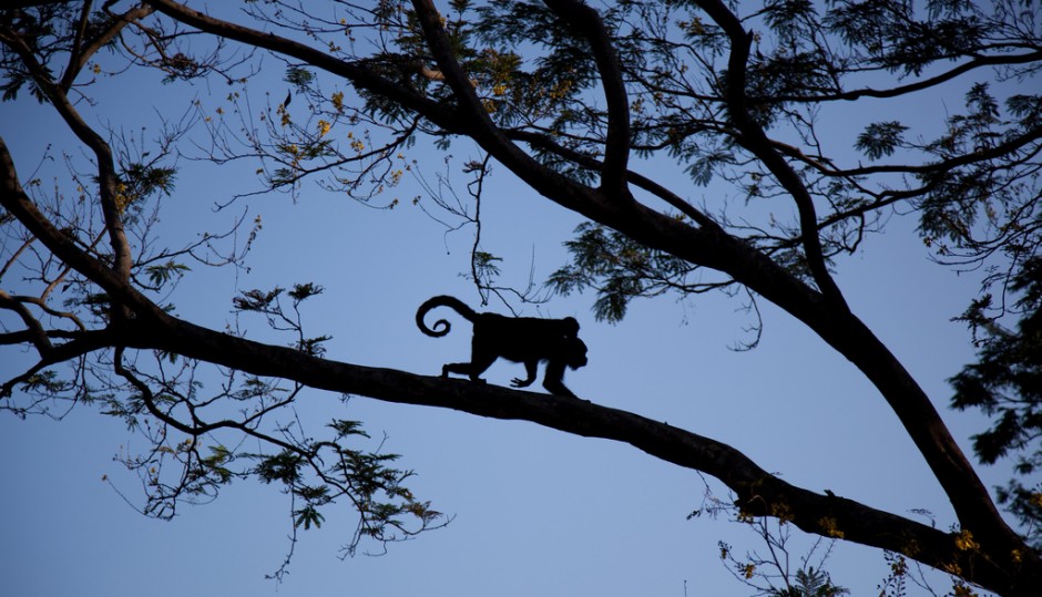 costa-rica-matador-seo26-940x539