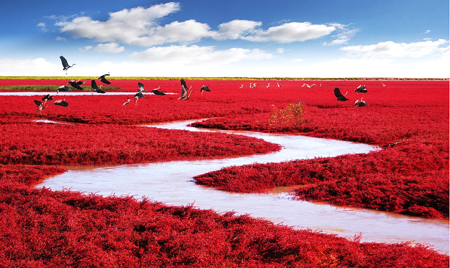 Illustration : Lieux Inimaginables dont Vous Ignorez l’Existence