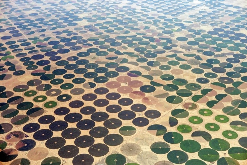 L'agrigullture en Arabie Soudite c'est incroyable