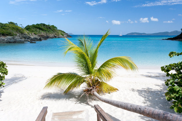 Tropical beach