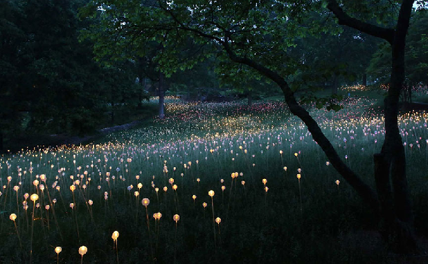 lumieres
