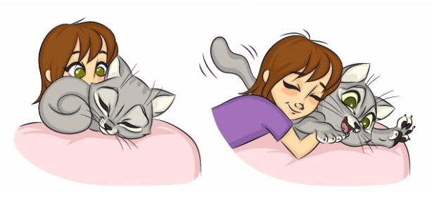 Illustration : 9 raisons pour avoir un chat