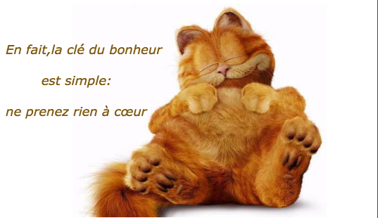 Illustration : Que du bonheur