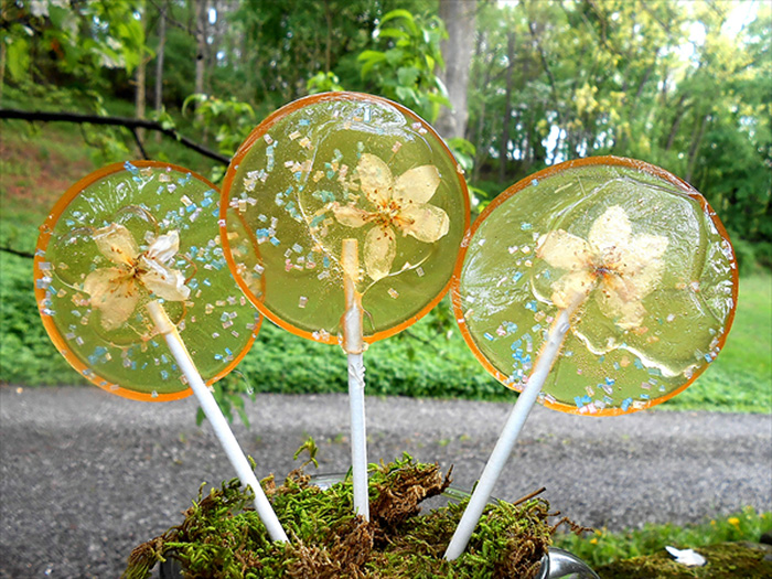 fleurs-lollipops-food-art-sugar-bakers-janet-best-29