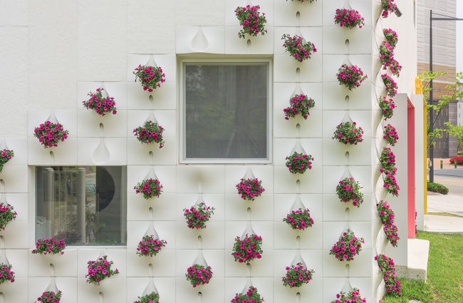 vases des fleurs