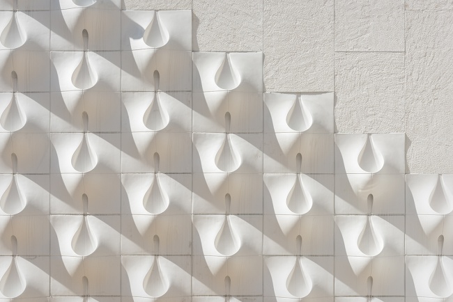 vases des fleurs
