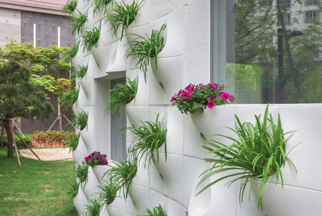 vases des fleurs