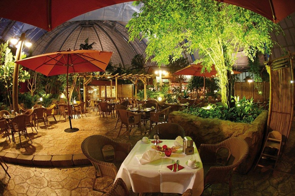 16585310-R3L8T8D-1000-PARAISO_TROPICAL_BRANDENBURG_01