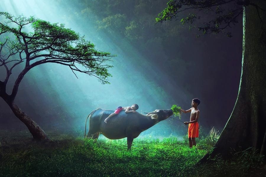 Illustration : Des enfants heureux dans le monde entier