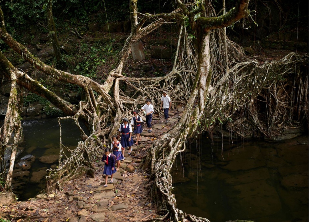 8827760-R3L8T8D-1000-Meghalaya-19