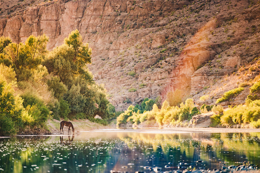 bigbend-spring-14-5711bd80d453a__880