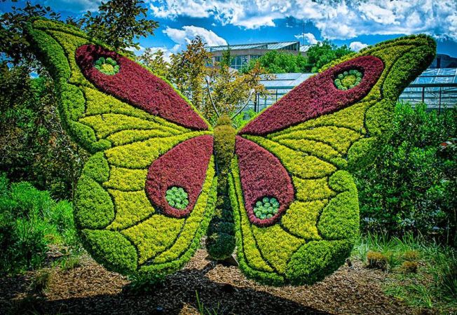 Illustration : Les plus beaux jardins botaniques dans le monde