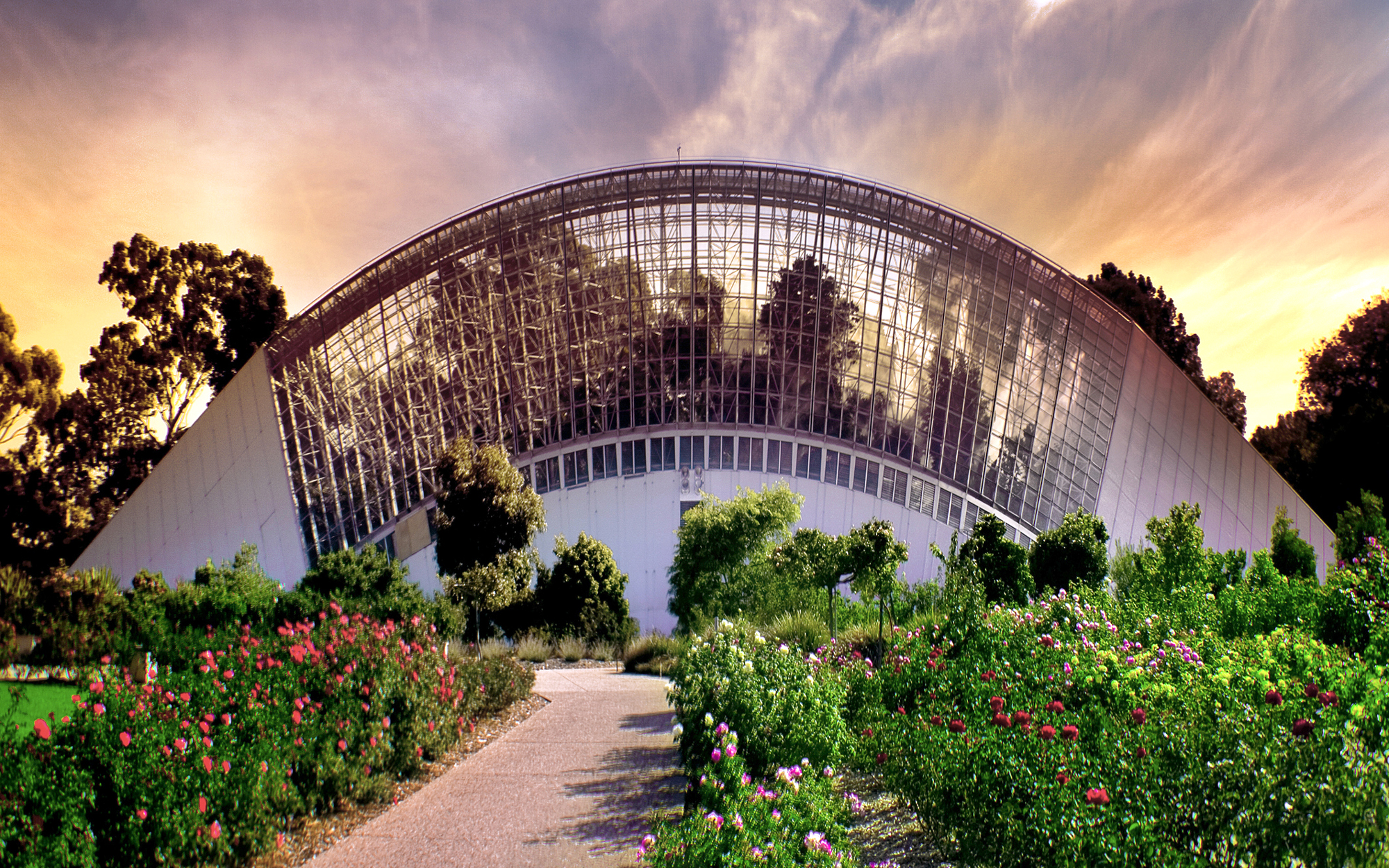 Adelaide-BOTANIC0616