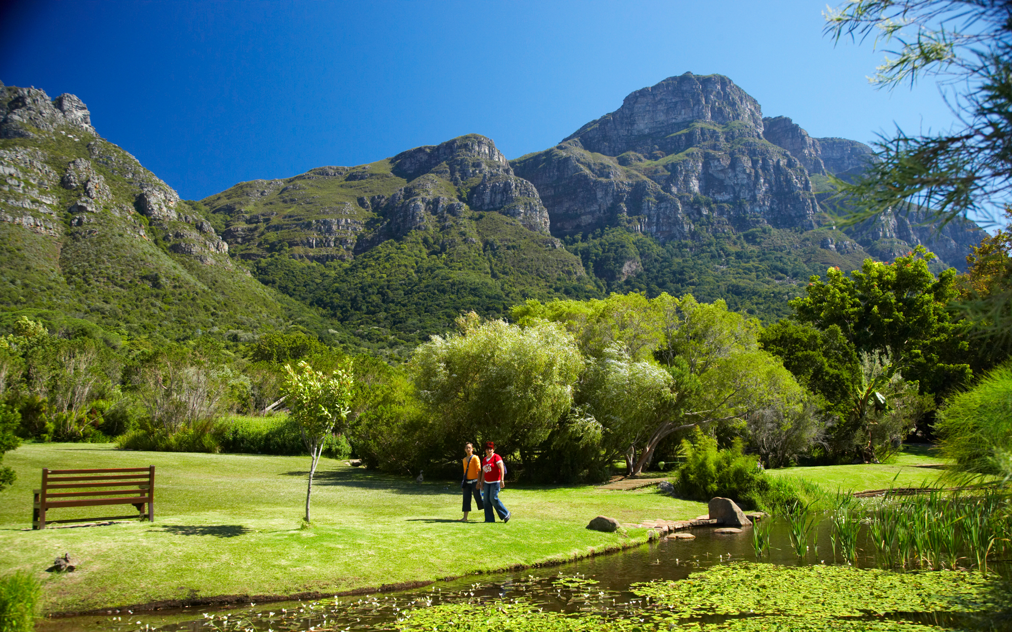 Kirstenbosch-South-Africa-BOTANIC0616