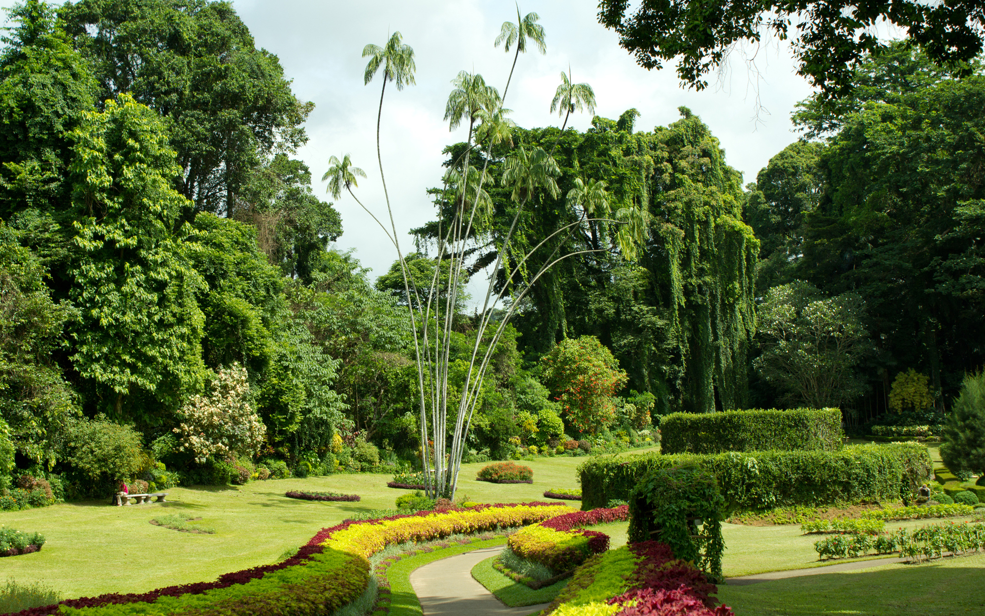 Perinaya-Royal-Sri-Lanka-BOTANIC0616
