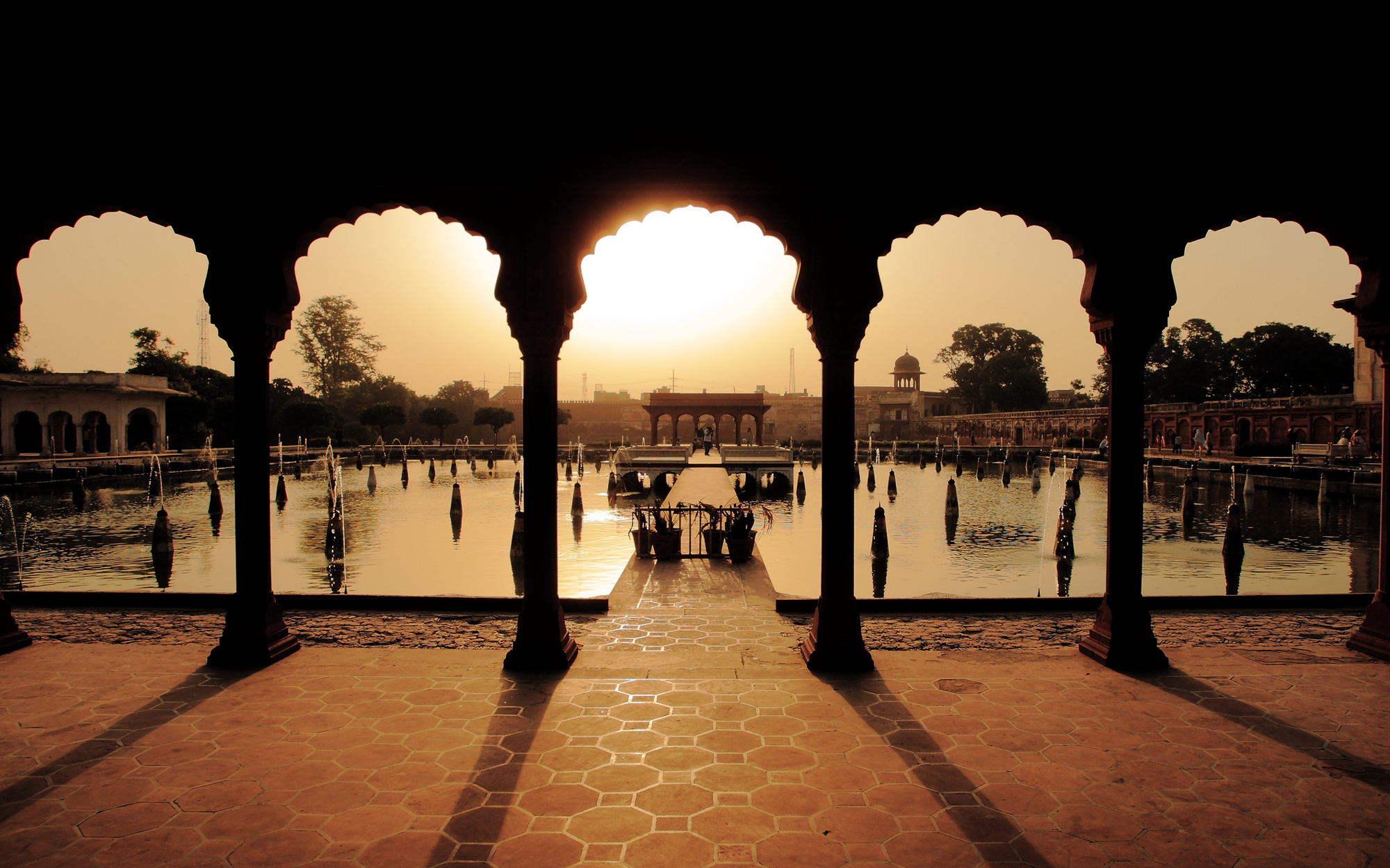 Shalimar-Lahore-BOTANIC0616