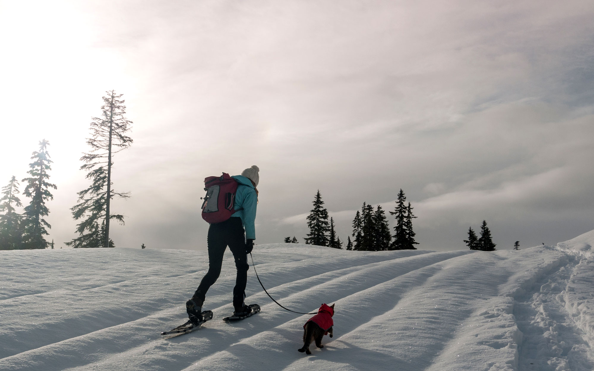 Snow-Hike-Cats-voyager avec un chat