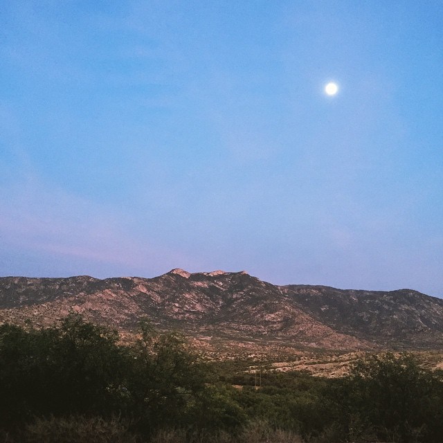 arizona