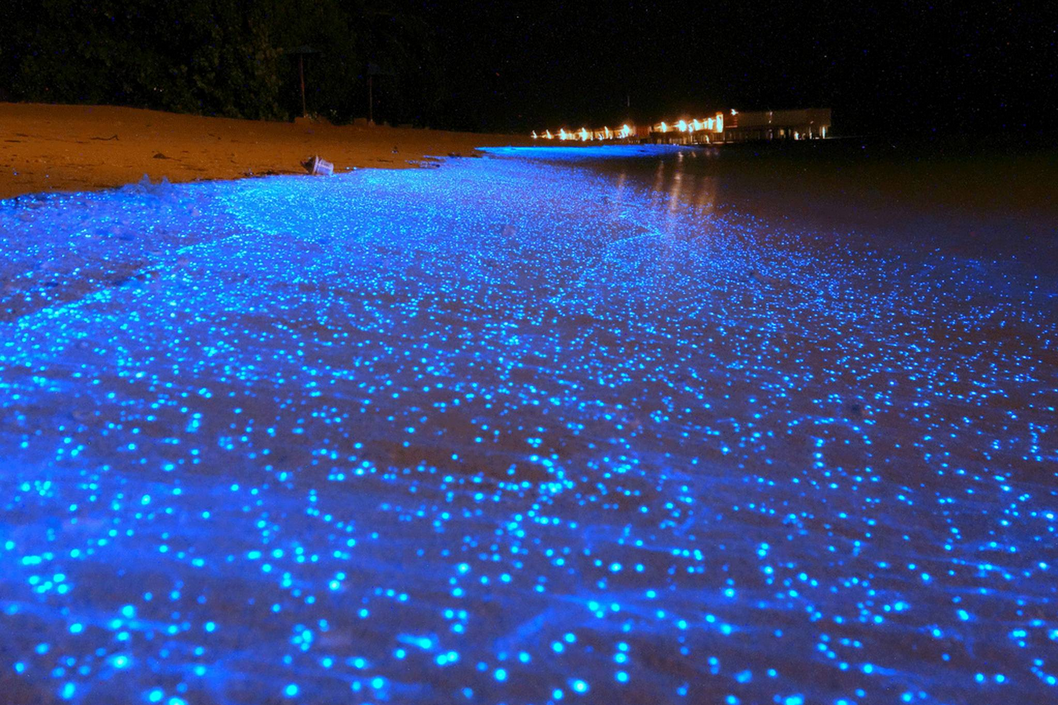 maldives paysages
