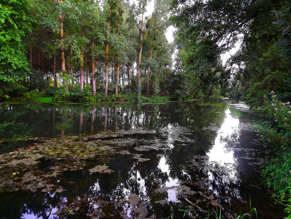 marais