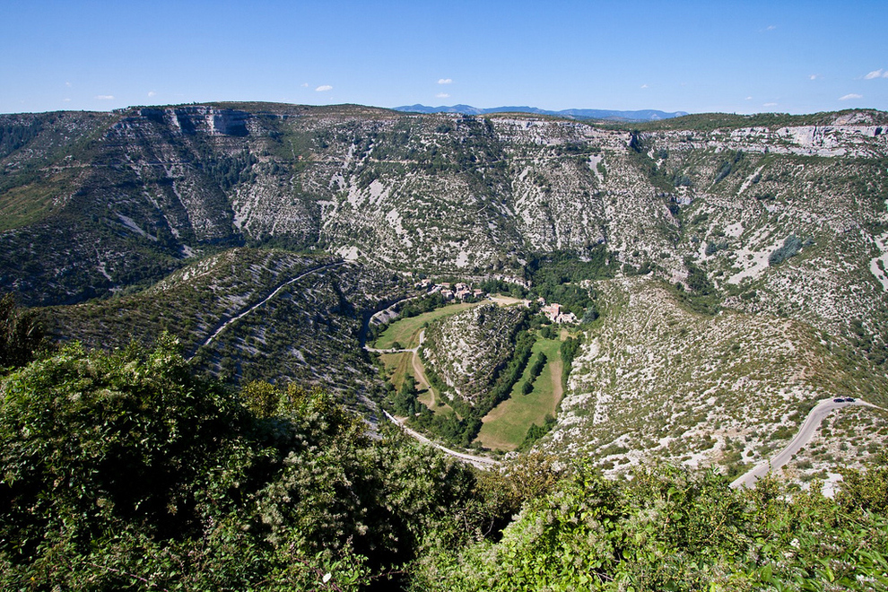 nava