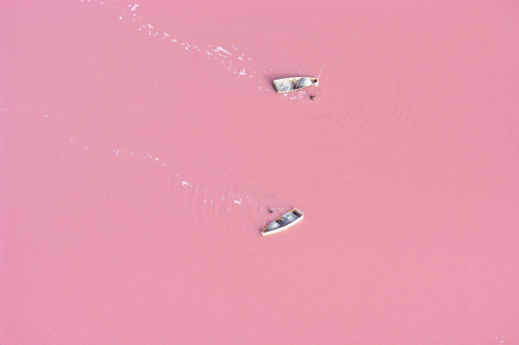 rose paysages