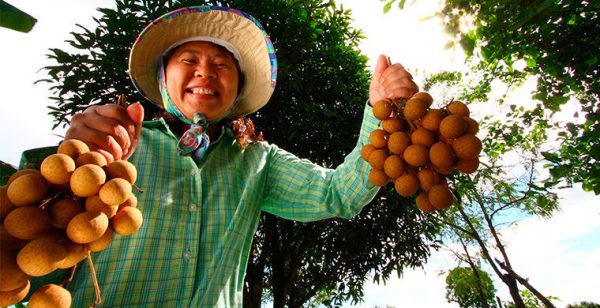 Illustration : 6 choses à ne pas faire en Thailande