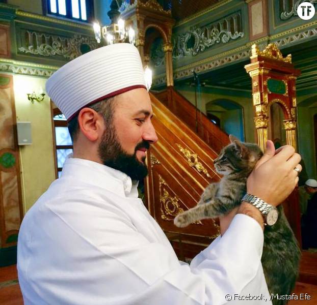 imam-mustafa-efe-accueille-les-chats-e-622x600-3