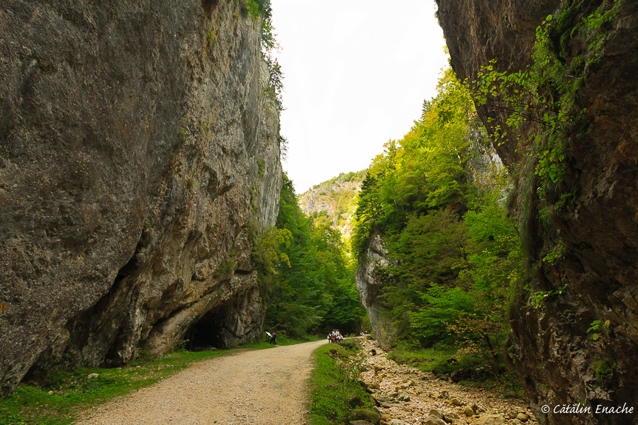 prapastiile-zarnestilor-parcul-national-piatra-craiului-catalin-enache-10
