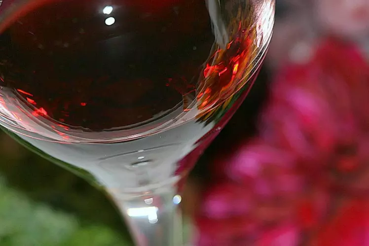 wine